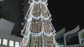 大きなツリーがあります。