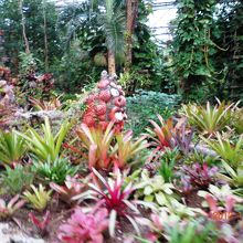 カートから撮影