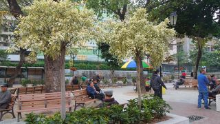 周りには世界遺産が