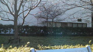 ファンの方なら、冬でもそれなりに楽しめる？