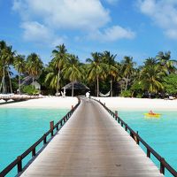 水上飛行機が到着するとこの先のバーでチェックインです