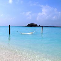 真っ青な海に囲まれております