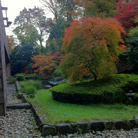 日本庭園風の庭です