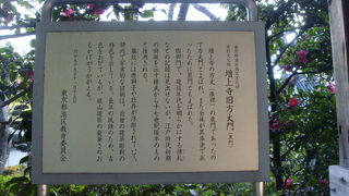 華やかさはないけれど歴史があります