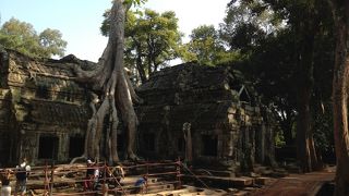 トゥームレイダーでおなじみ