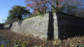 展示資料は多い。