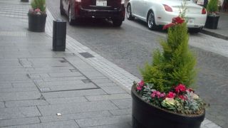 冬のセールで可愛いショッピング通り