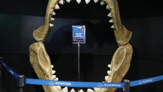 海雲台の人気スポット