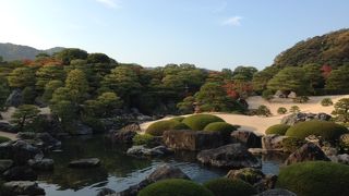 足立コレクション