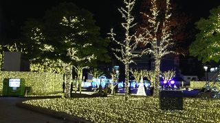 期間限定の光の輝きです