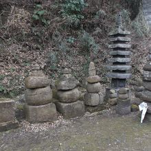 どなたかが花を供いました