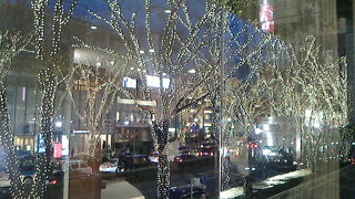 うっとり大人の美しさのイルミネーションでした