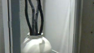 季節感を大切にする和食器