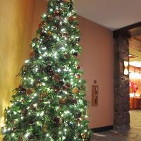 ツリーはあちらこちらに