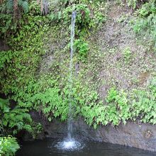 神社内の滝です。