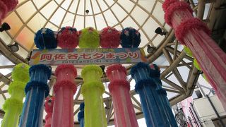 思っていたより大規模でした。