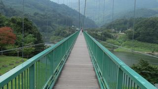 トンボがたくさん飛んでました。
