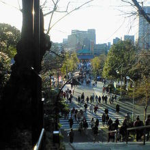 上野公園から不忍池へ向かう下り階段からちょうど正面に見えます