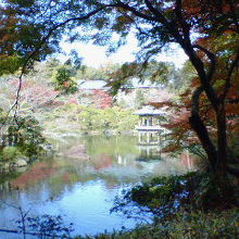 池に映る赤や黄色の紅葉を心行くまで楽しめます。
