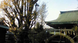 上野公園から不忍池へ向かう途中にある神社