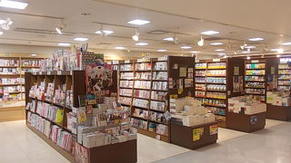 国内旅行関連の雑誌は殆どありませんでした