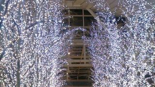 季節感があり遊びに行くのも楽しいです