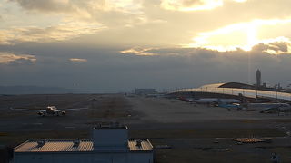 無料でお腹いっぱい（？）楽しめます