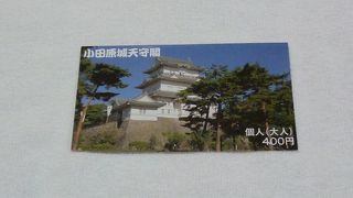 さくらが似合っています！