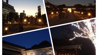 イルミネーションSHOW ♪