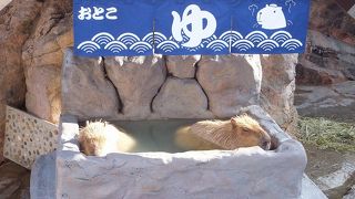 何回行っても楽しい