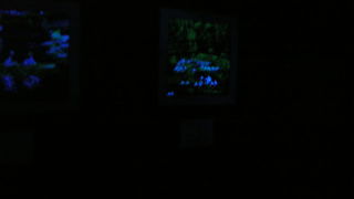 ニシジンオリコウゲイビジュツカン ショウスイカク