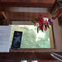 客室下の窓です。素敵でした。