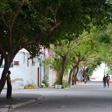 ヴィリンギリ島の中心部は木立もある町並み。