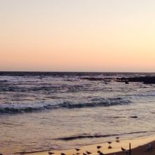 ペンギンの撮影は禁止ですので、こちらは日没ころの浜辺風景です