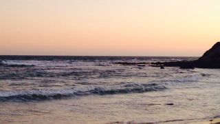 可愛いペンギンがいっぱい☆