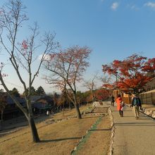 麓を散策しました