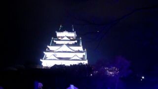 イルミネーション開催中でした