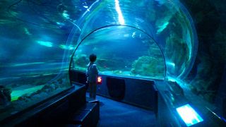 雨の日にはいいでしょう