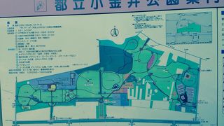 都立小金井公園