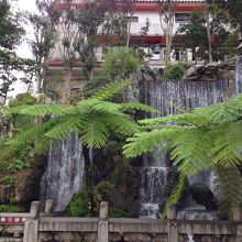 入ってすぐの右手になんか滝があります。