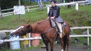 温かみのある手作りのロッジ