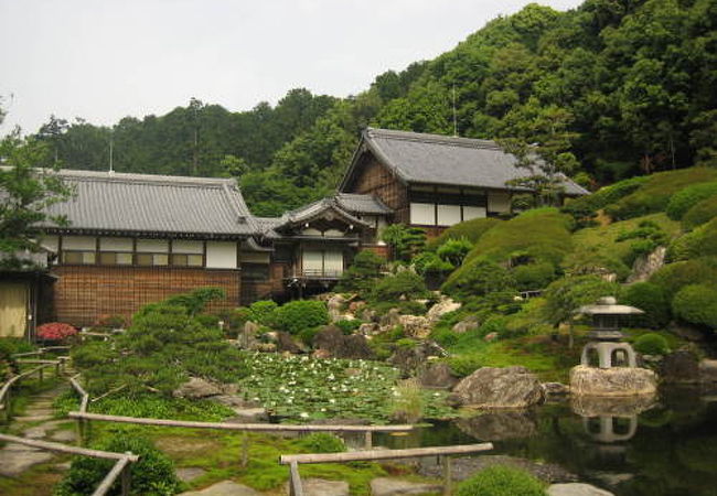 西堂寺六角堂｜観光スポット｜【公式】山口県観光/旅行サイト