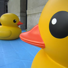 ラバーダック展。