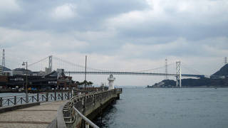 海の幸の宝庫。