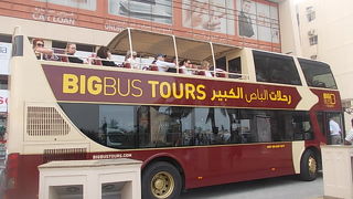 高いけどオプションも充実しています