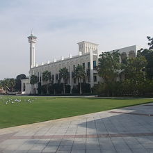 柵越しに見た中の様子