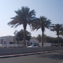 入口付近の様子を遠くから撮影してみました