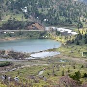 白根山麓に広がる湿地帯遊歩道