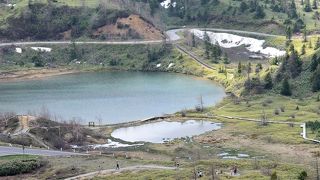 白根山麓に広がる湿地帯遊歩道