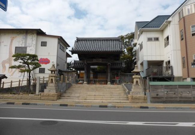 女性俳人田神菊舎の碑がありました